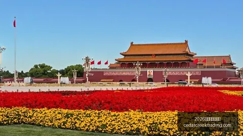 东契奇和里夫斯或分时，2026世界杯举办城市官网，段领队，湖人阵容中谁是下一位控场核心